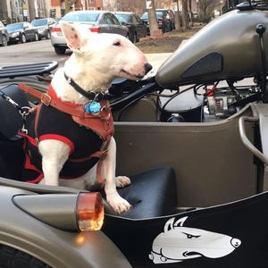 Meet your Posher, Eric